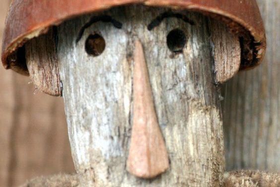 Le bois flotté pour une décoration inspirée du jardin !
