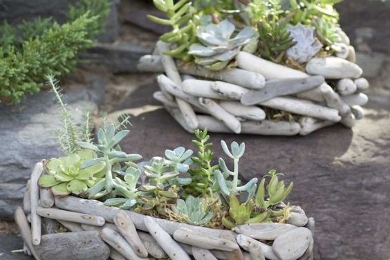Le bois flotté pour une décoration inspirée du jardin !