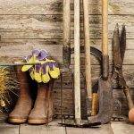 Les outils du jardinier
