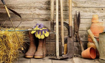 Les outils du jardinier